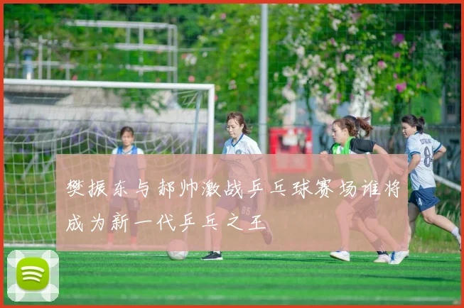 樊振东与郝帅激战乒乓球赛场谁将成为新一代乒乓之王