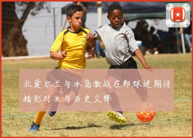 北爱尔兰与冰岛激战在即球迷期待精彩对决与历史交锋
