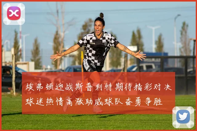 葡萄牙对西班牙比赛精彩回顾与下载资源分享