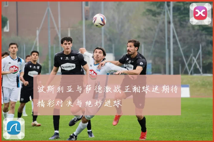 波斯利亚与萨德激战正酣球迷期待精彩对决与绝妙进球