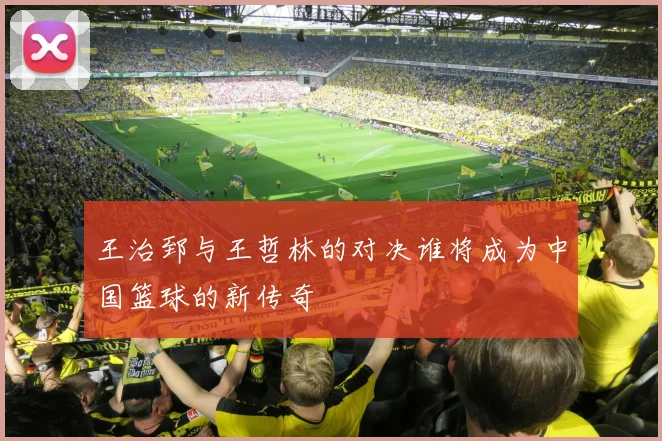 王治郅与王哲林的对决谁将成为中国篮球的新传奇