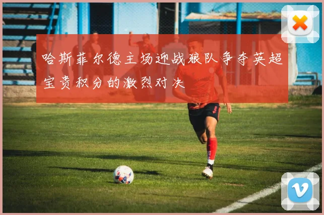 哈斯菲尔德主场迎战狼队争夺英超宝贵积分的激烈对决