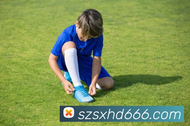 leyu乐鱼发展历程